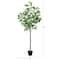 6ft. Potted Green Artificial Greco Citrus Tree with Real Touch Leaves